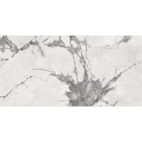 0004204 Sensi Up Invisible Pearl Lux 60x120