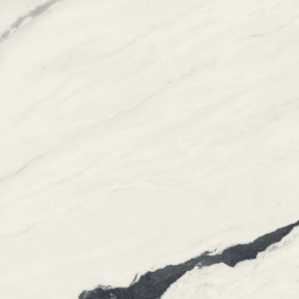 610010002717 Forte dei Marmi Panda White Rett 80x80