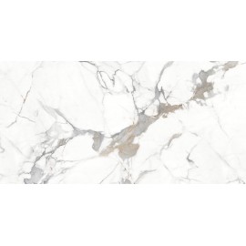 Керамогранит Statuario Raga PGVT 60x120