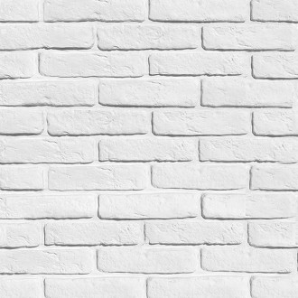 1-00-00 Старый кирпич 5.7х24.2