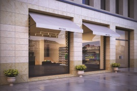 Shakespeare (Kerranova)