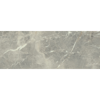 1330 GRIS RECTIFICADO 50x129,5 матовая