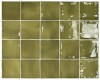 26918 Basil Green 10x10