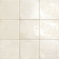 PT03094 Maiolica Bianco 20x20