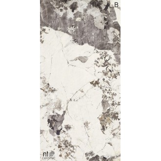 NTT3505L Atlas Grey 120x270