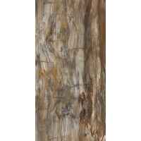 Arty Brown High gloss 60*120