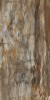 Arty Brown High gloss 60*120