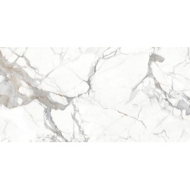 Керамогранит Statuario Raga PGVT 60x120