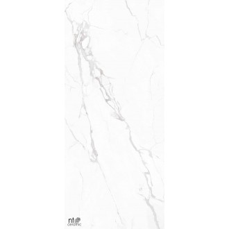 NTT3605P Керамогранит Marble White 120x280
