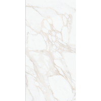 K2703ZN2P0010 Nocturne White Gold FLPR 60х120