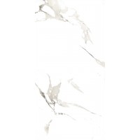 Carrara Matt 60x120