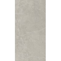 Bayona Silver Natural 60x120 