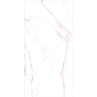 BLANK Raw High Glossy 60x120
