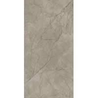 Balsamia Grey Carving 60x120