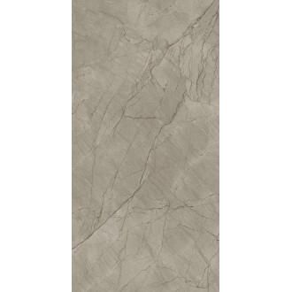 Balsamia Grey Carving 60x120