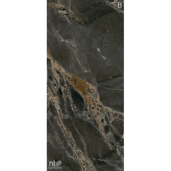 Керамогранит NTT3503L Orobico Brown 120x270