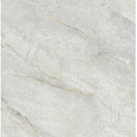 Z66N08 Керамогранит Матовый 60x60