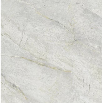 Z66N08 Керамогранит Матовый 60x60
