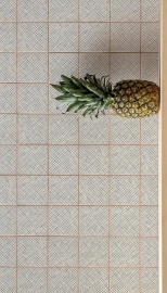 Керамогранит Tratti Mutina