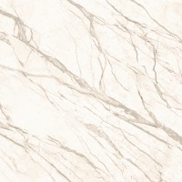 PR016060N Prima коричневый 60x60