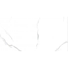 Керамогранит СLASSIC STATUARIO 60x120