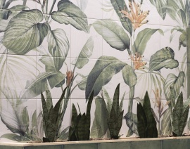 Murales Mainzu