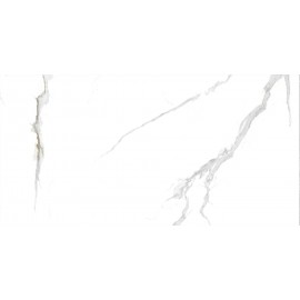 Керамогранит СLASSIC STATUARIO 60x120