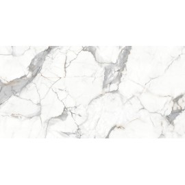 Керамогранит Statuario Raga PGVT 60x120