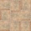 BOLONIA OCRE 20*20