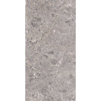 Grespania Artic Gris Pulido 59x119