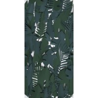 4100595 Midori 50x100