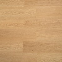 6604 Дуб шампань