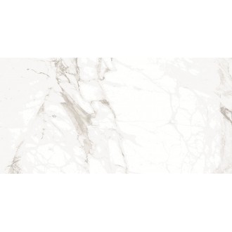 Carrara Smoke 60x120