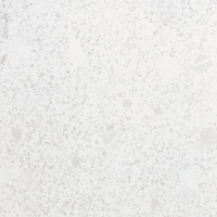 TREND Lap Nacar 60x60