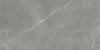 610015000657 Forte dei Marmi Elegant Grey Rett Cer 60x120