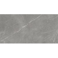 610015000657 Forte dei Marmi Elegant Grey Rett Cer 60x120