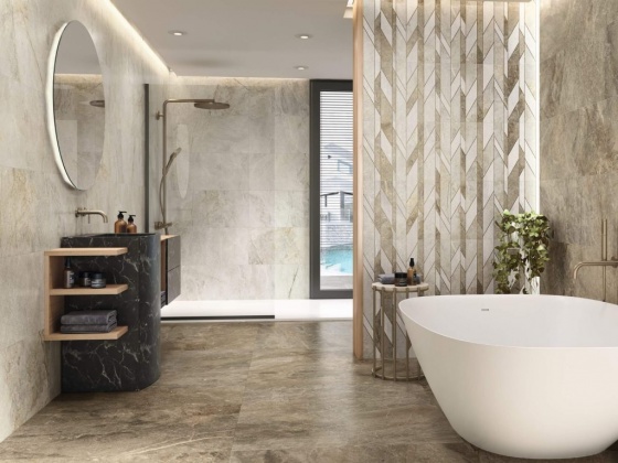 TAMESIS (Porcelanite Dos)