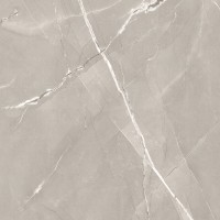Armani Grey Silk 60x60