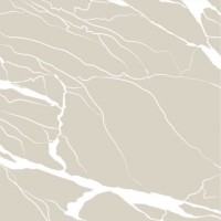 Artwork Marble Pearl AR6060MP 60х60