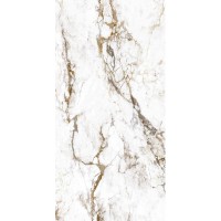 BRECCIA TORTONA RT 60X120 матовая