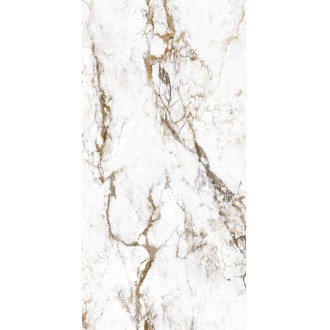 BRECCIA TORTONA RT 60X120 матовая
