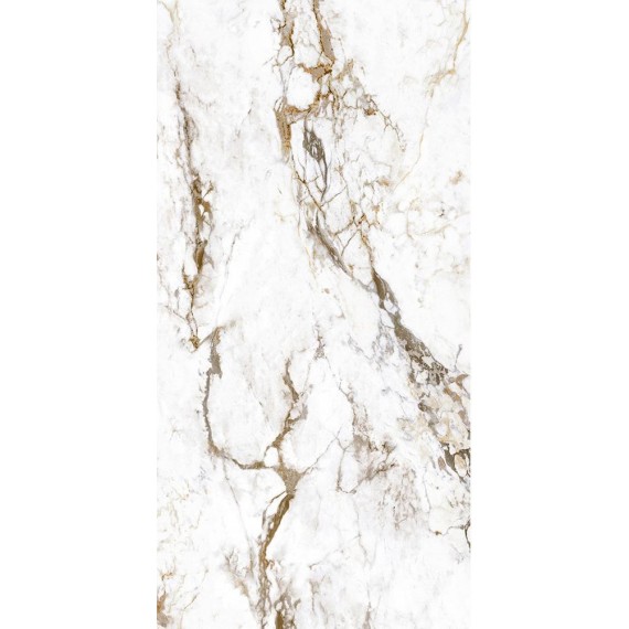 BRECCIA TORTONA RT 60X120 матовая