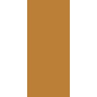 BUILDTECH 2.0 MUSTARD GLO 6MM (766899) 60X120 R