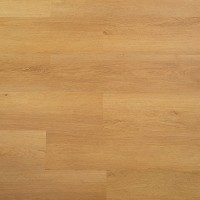 6610 Дуб золотистый