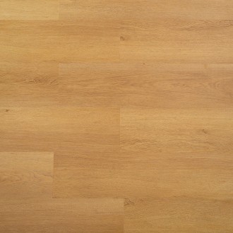 6610 Дуб золотистый