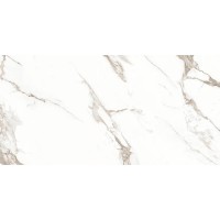 Bremen Grey Glossy 60x120