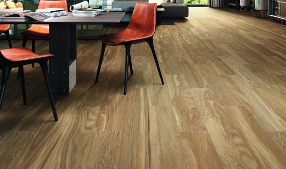 6610 (Porcelanite Dos)