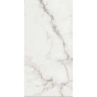 CALACATTA GOLD 60 LAP RT 60X120