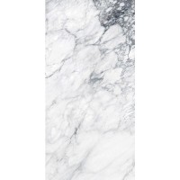RENOIR ISOLA RT 60X120 матовая