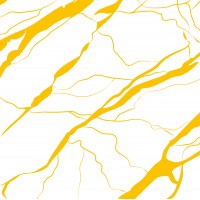 Artwork Marble Yellow AR6060MY 60х60